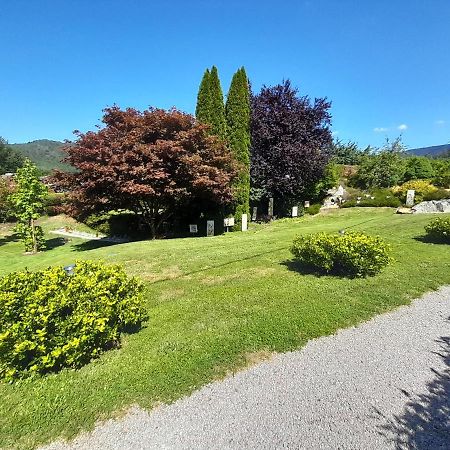 Gite De Grettery Saulxures-sur-Moselotte Eksteriør billede